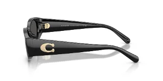 Coach Sunglasses HC8462U
