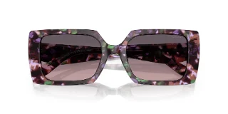 Coach Sunglasses HC8409U