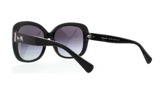 Coach Sunglasses HC8158 L139