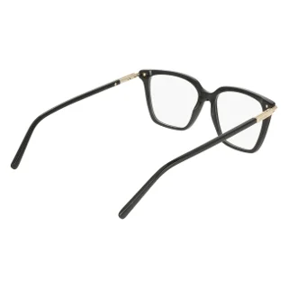 Salvatore Ferragamo Eyeglasses SF3038