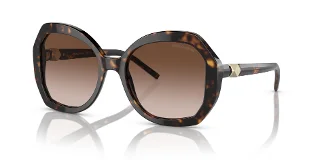 Giorgio Armani Sunglasses AR8180