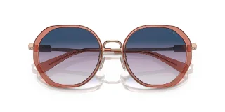 Coach Sunglasses HC7141