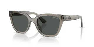839487 Shiny Transparent Grey
