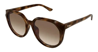 Chloe Sunglasses CH0291SK