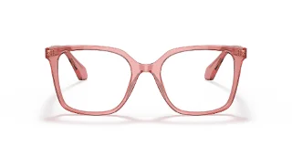 Giorgio Armani Eyeglasses AR7217