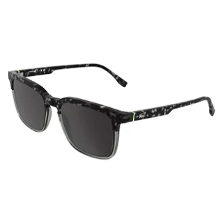 240 Havana Grey/Transparent Grey