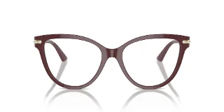 Jimmy Choo Eyeglasses JC3001B