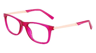 Flexon Eyeglasses J4019