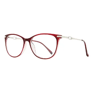 Stylewise Eyeglasses SW453