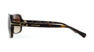 Coach Sunglasses HC8116 L087 Blair