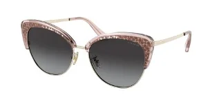 Coach Sunglasses HC7110