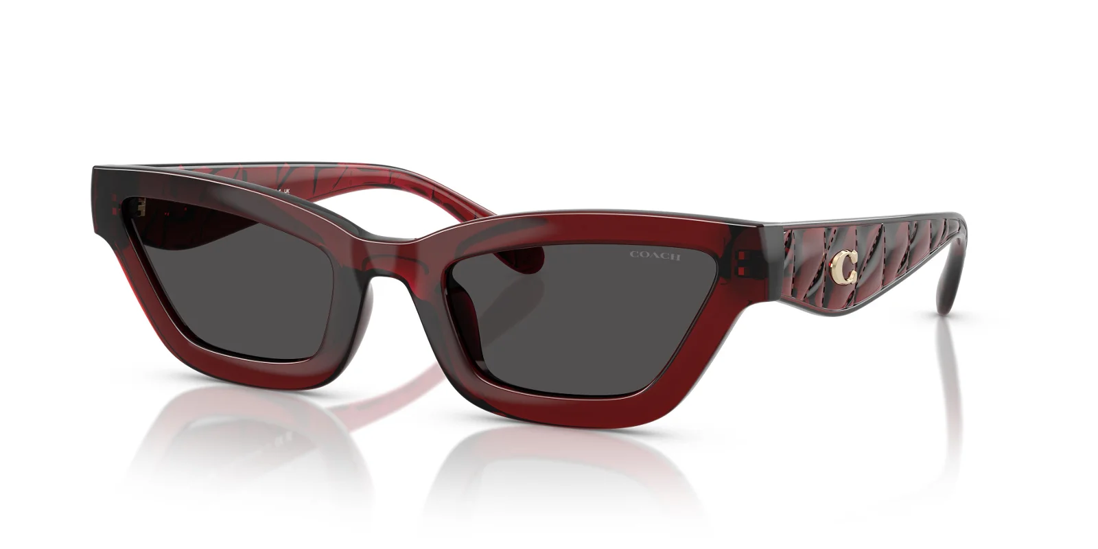 Coach Sunglasses HC8420U