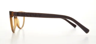 Dkny Eyeglasses DY4628