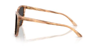 Ralph Lauren Sunglasses RL8201