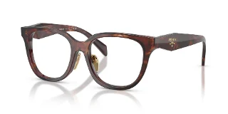 14P1O1 Caramel Tortoise