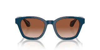 Giorgio Armani Sunglasses AR8207