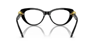 Swarovski Eyeglasses SK2005