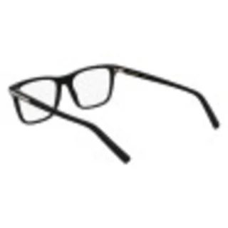 Salvatore Ferragamo Eyeglasses SF2959N