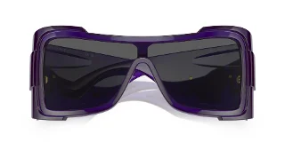 Versace Sunglasses VE4451