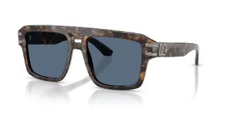350080 Brown Blue Havana