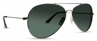 INVU Sunglasses INVU-135