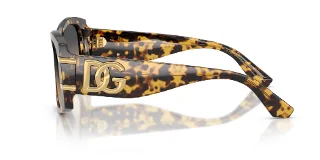 Dolce & Gabbana Sunglasses DG4501