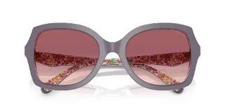 Coach Sunglasses HC8410U