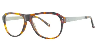 024 Tortoise