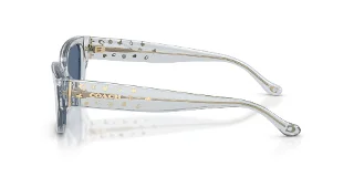Coach Sunglasses HC8439U