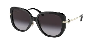 Coach Sunglasses HC8320F
