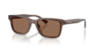 617673 Brown