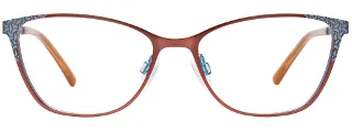 Easyclip Eyeglasses EC683