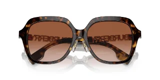 Burberry Sunglasses BE4389F