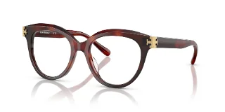 2011 Gradient Tortoise
