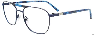 050 Blue & Blue Tortoise