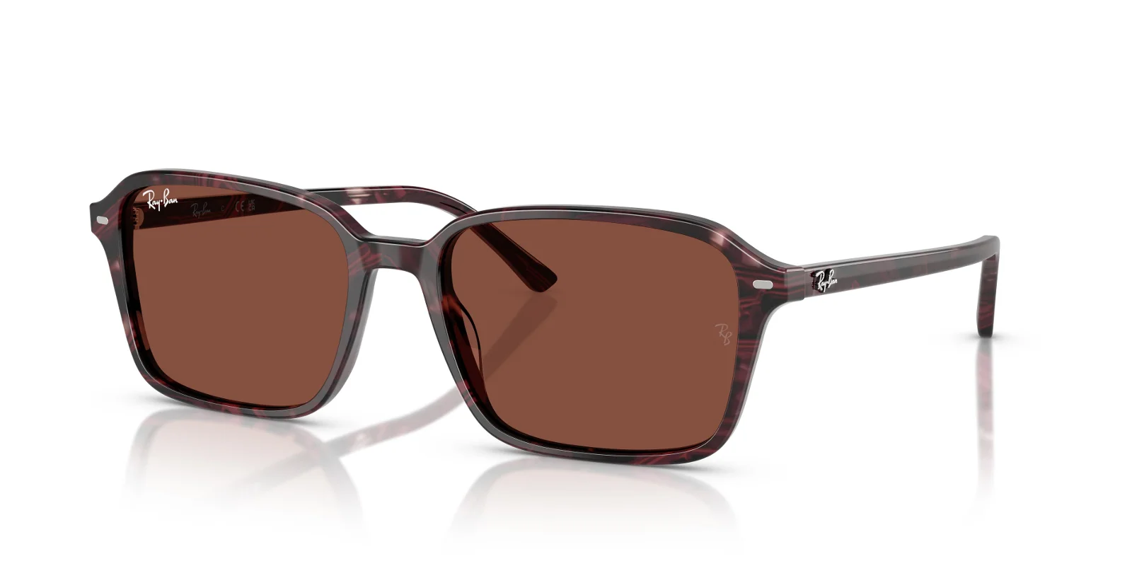 Ray Ban Sunglasses RB2231