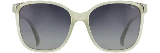 INVU Sunglasses INVU- 295