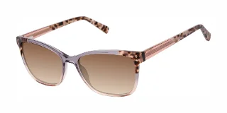 Ted Baker Sunglasses TWS323