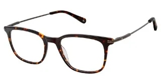 C02 Tortoise