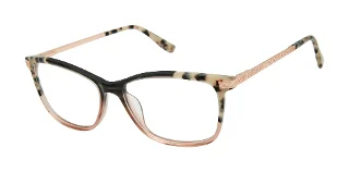 Superdry Eyeglasses SDOW017T