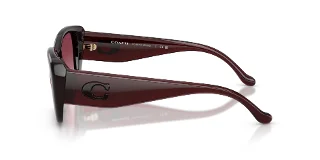 Coach Sunglasses HC8435U
