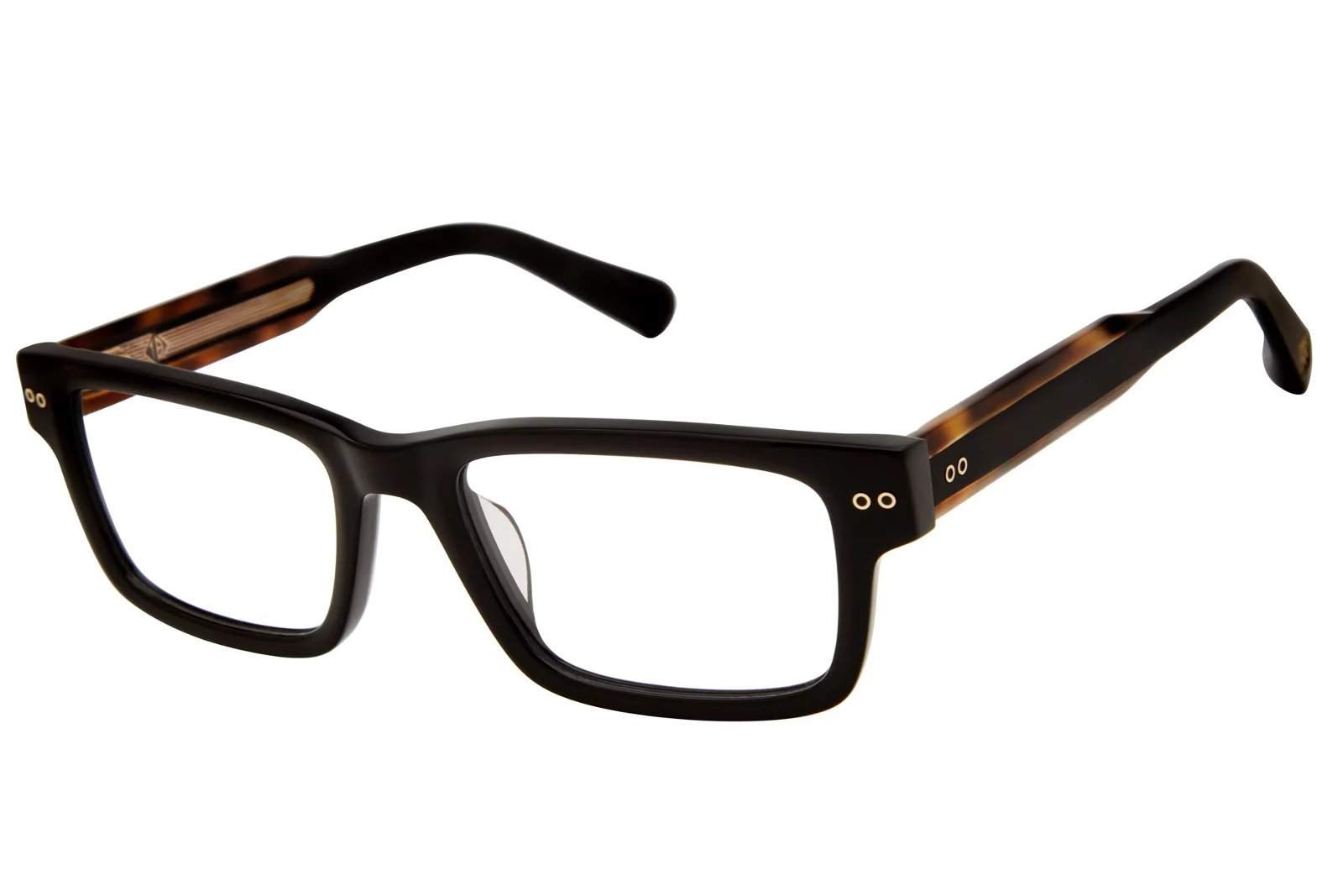 Ted Baker Eyeglasses TLM007