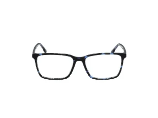 Hollister Eyeglasses HL50029