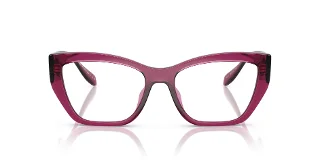 Michael Kors Eyeglasses MK4149U