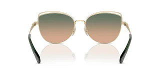 Coach Sunglasses HC7162