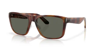 912605 Tortoise
