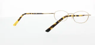 Polo Eyeglasses PP8010