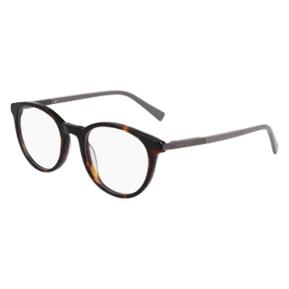 208 Shiny Brown Tortoise