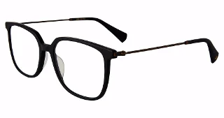 John Varvatos Eyeglasses VJV431