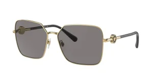 100287 Gold